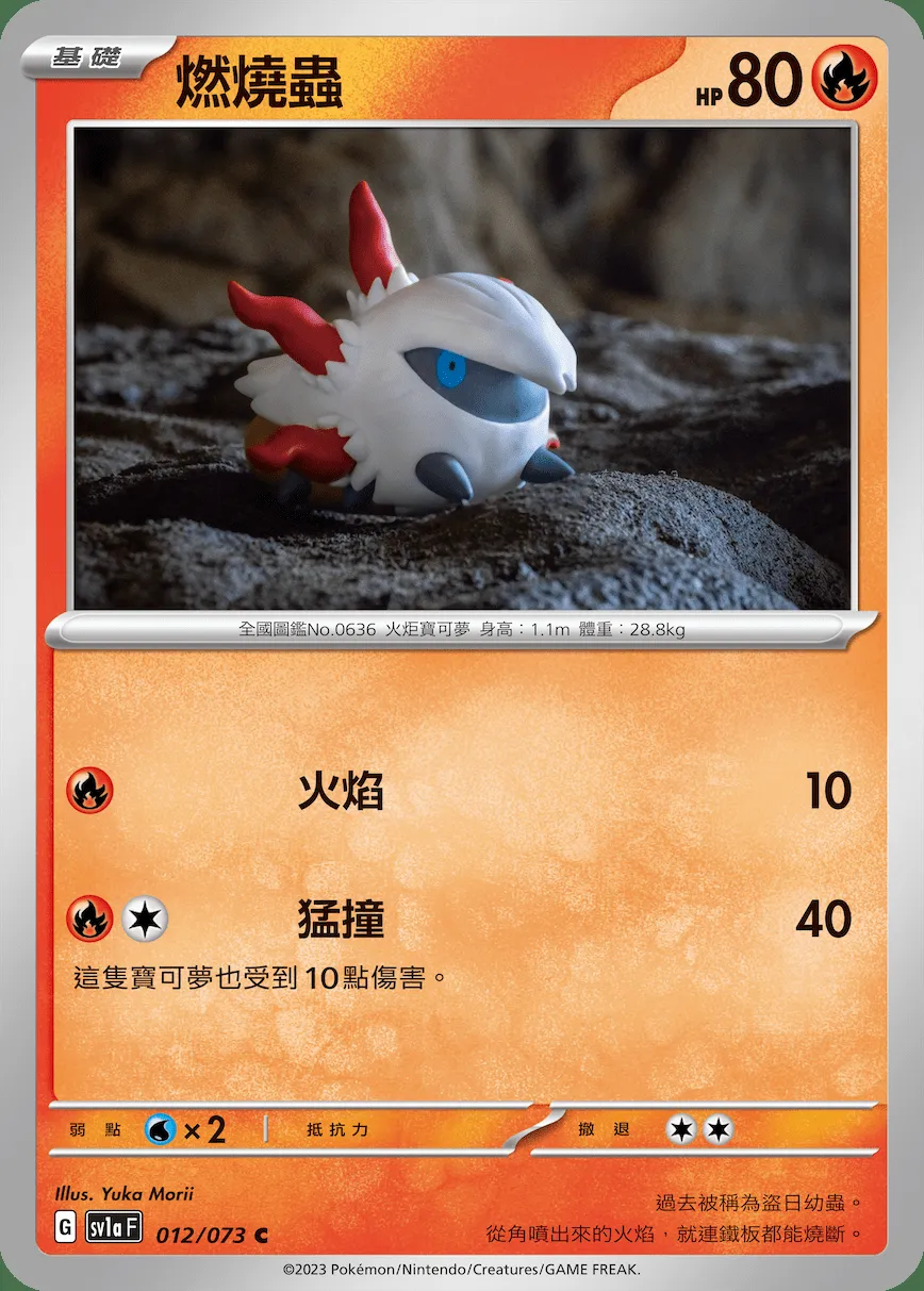 燃燒蟲