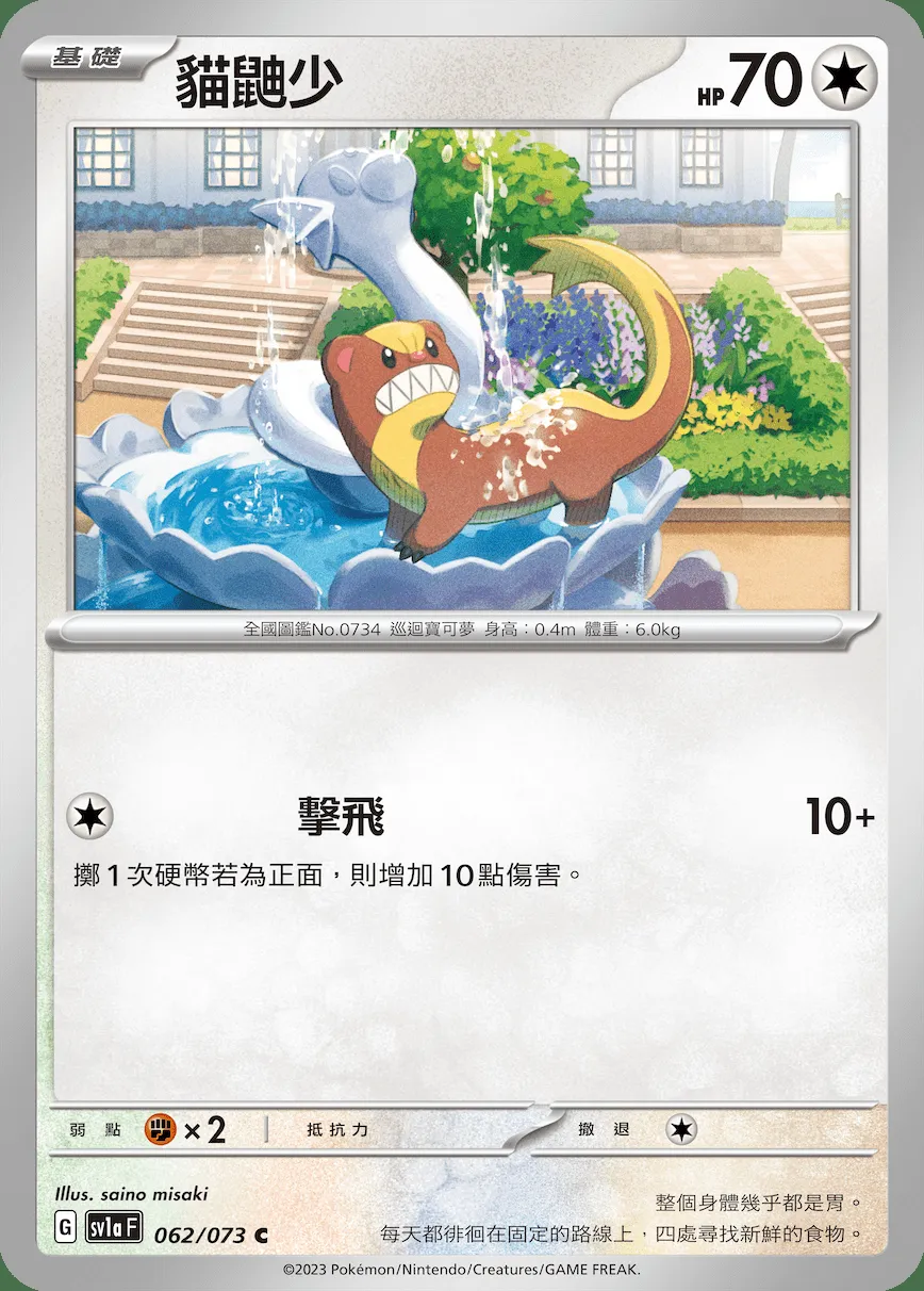 貓鼬少