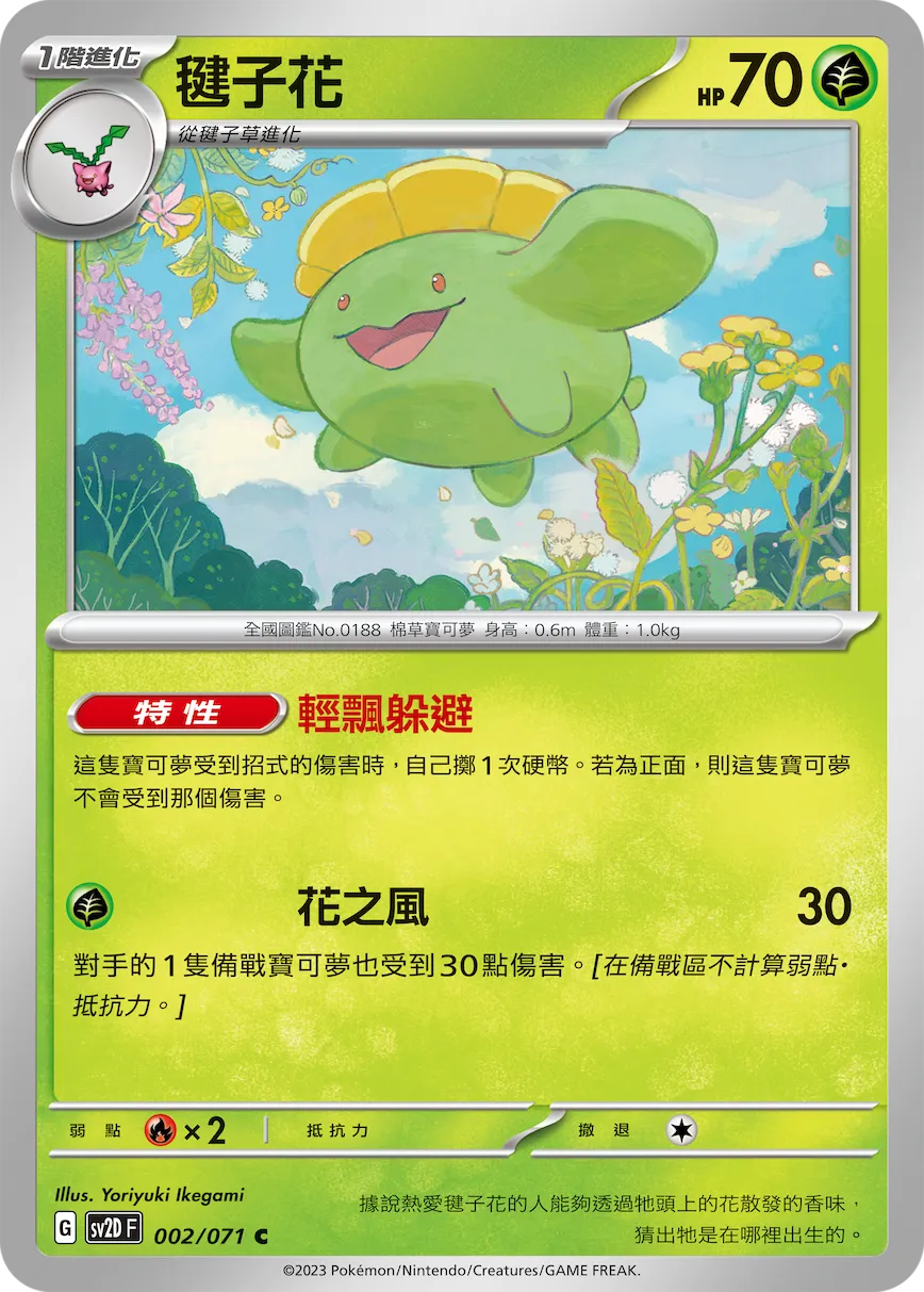 毽子花