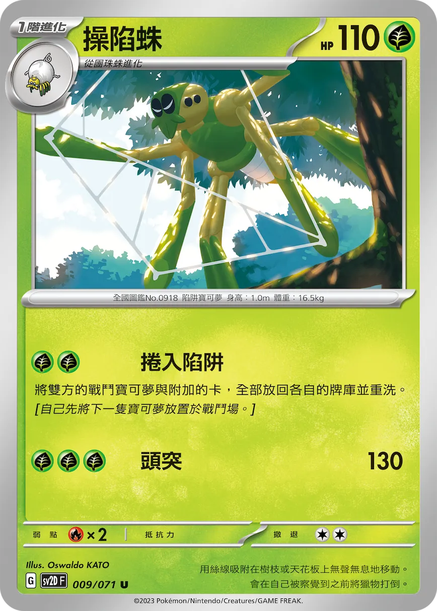 操陷蛛