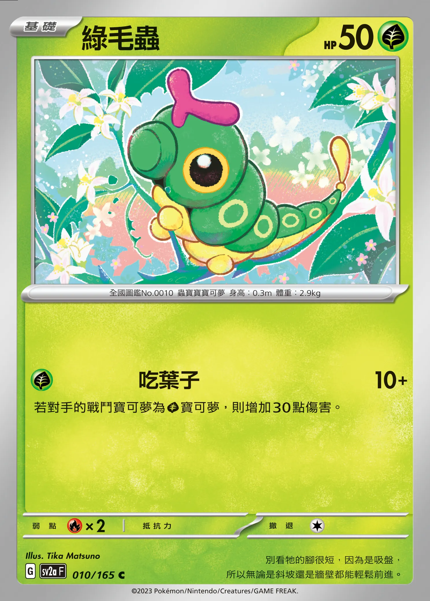 綠毛蟲