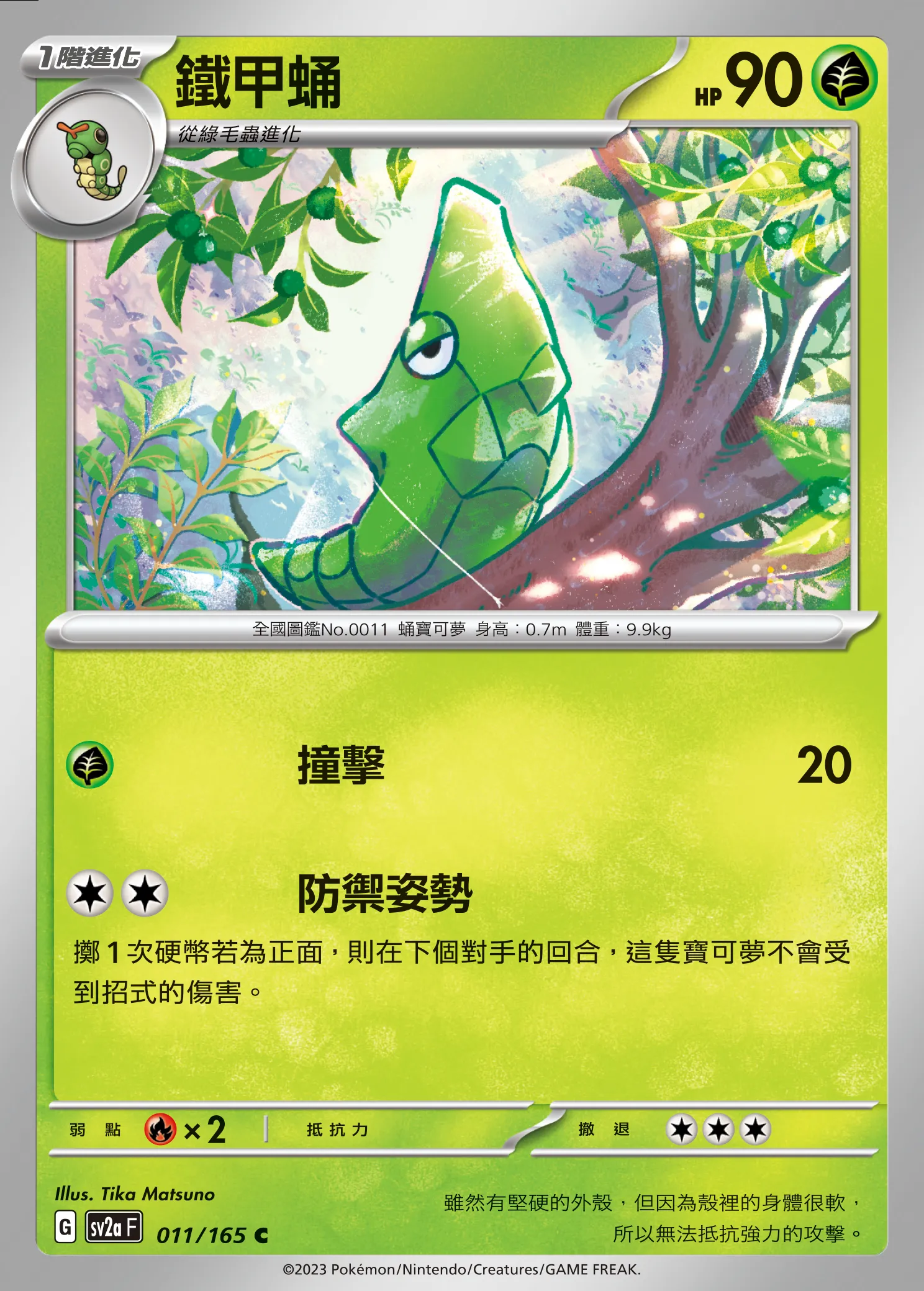 鐵甲蛹