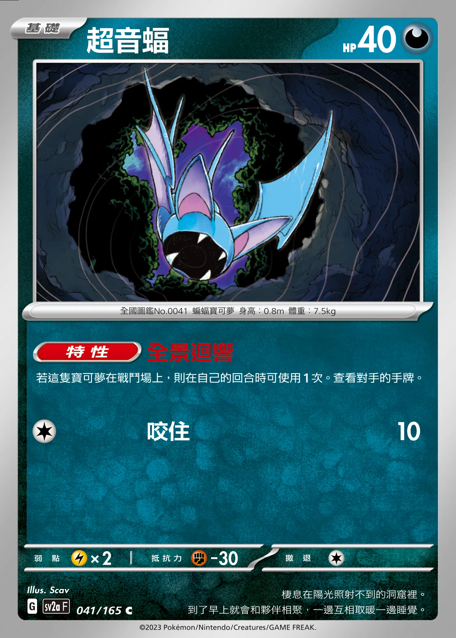 超音蝠