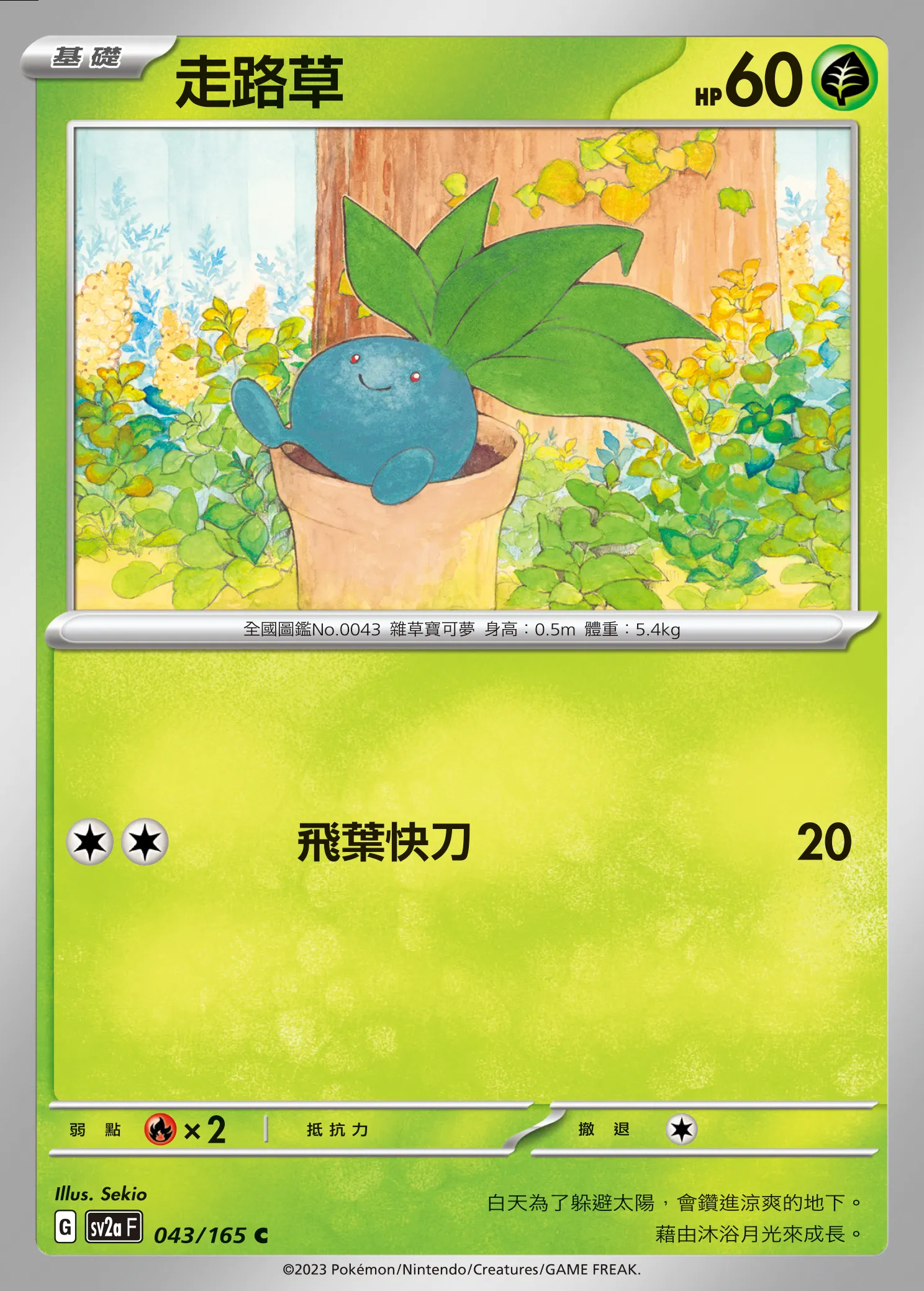 走路草