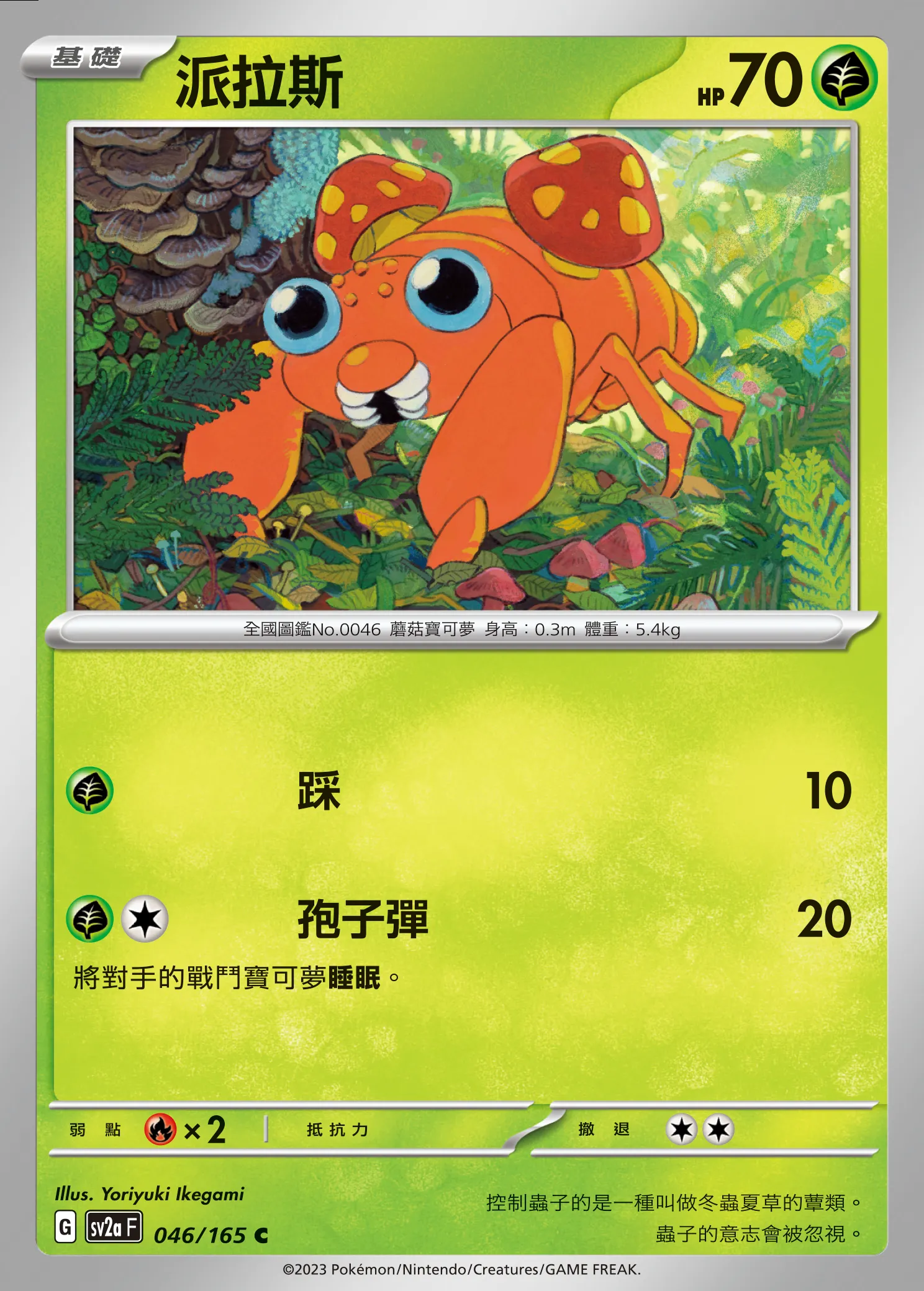 派拉斯