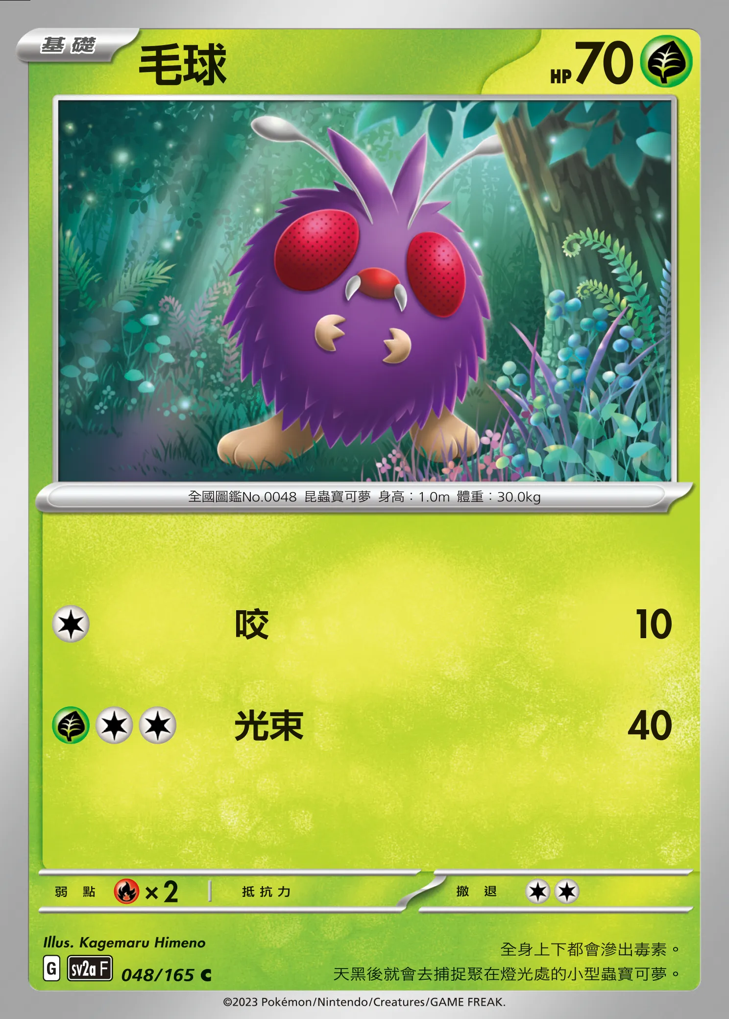 毛球