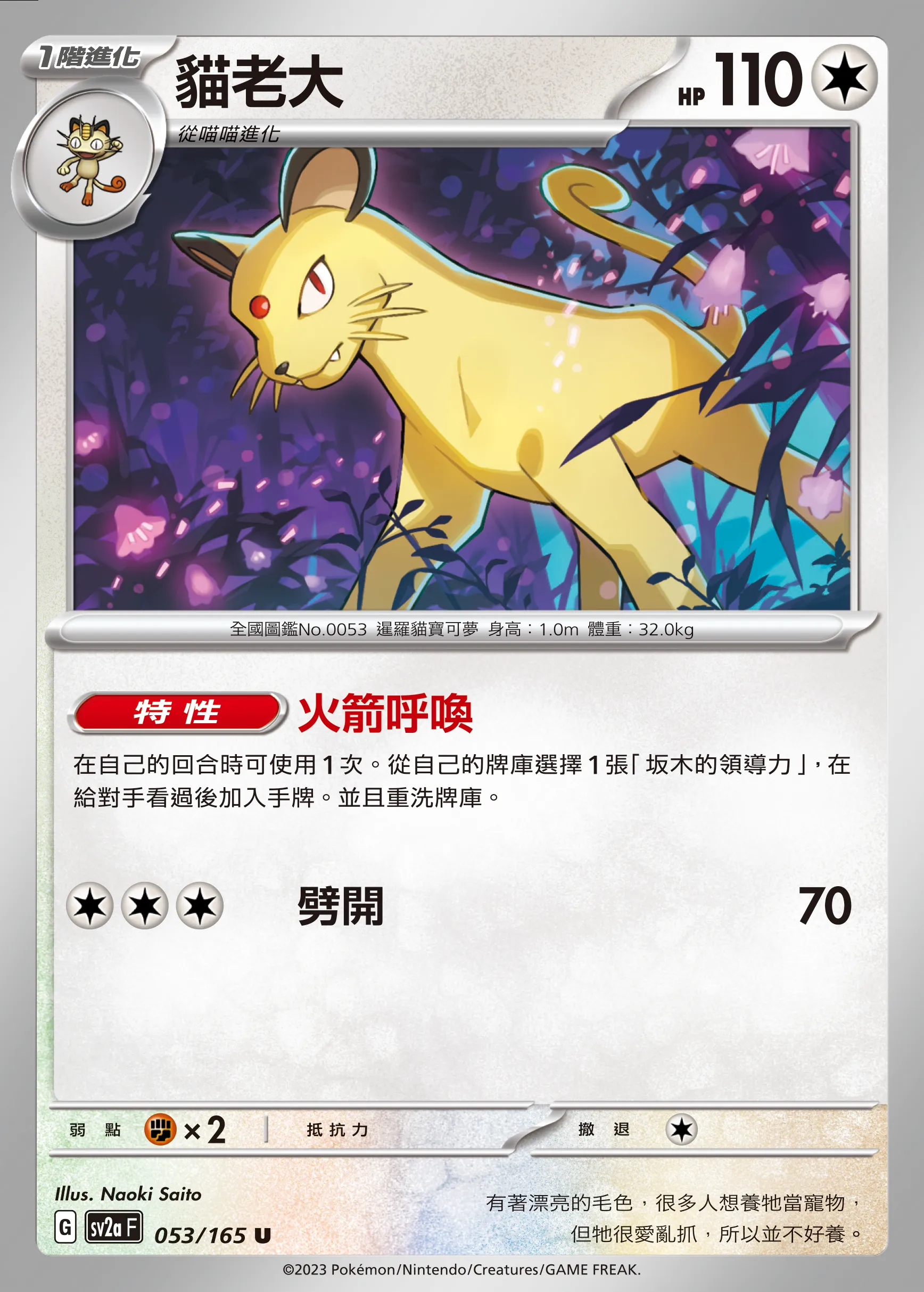 貓老大