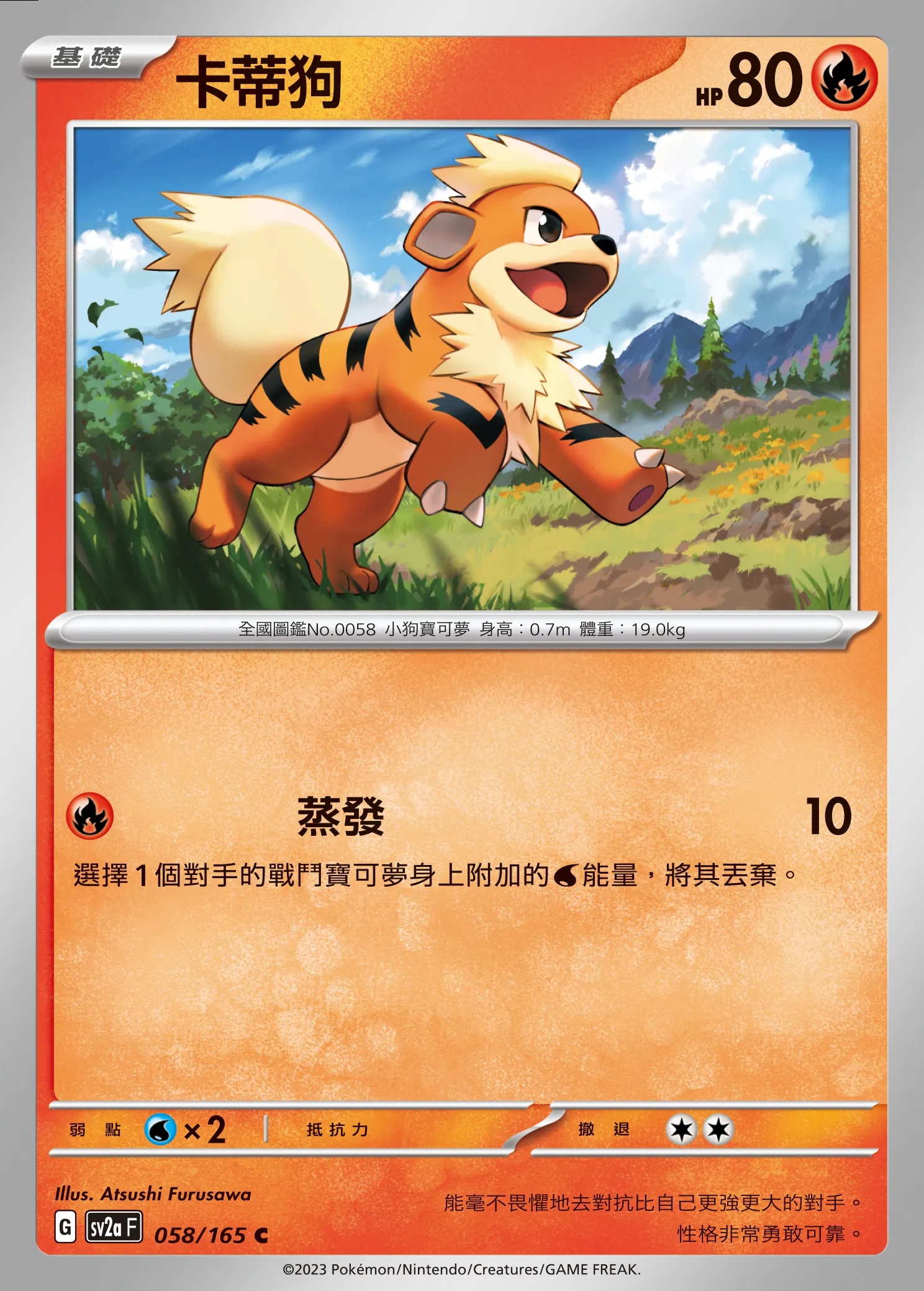 卡蒂狗