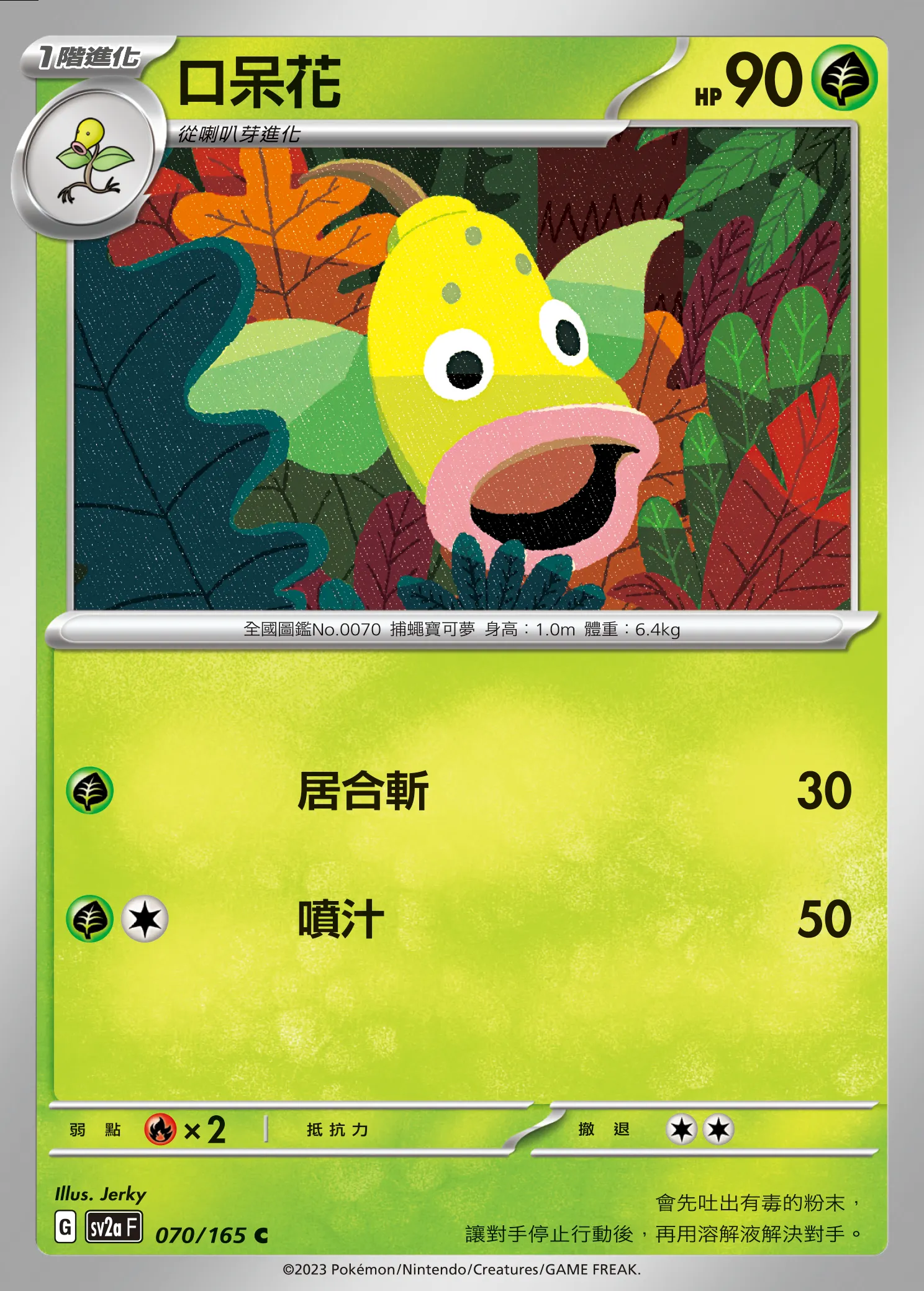 口呆花