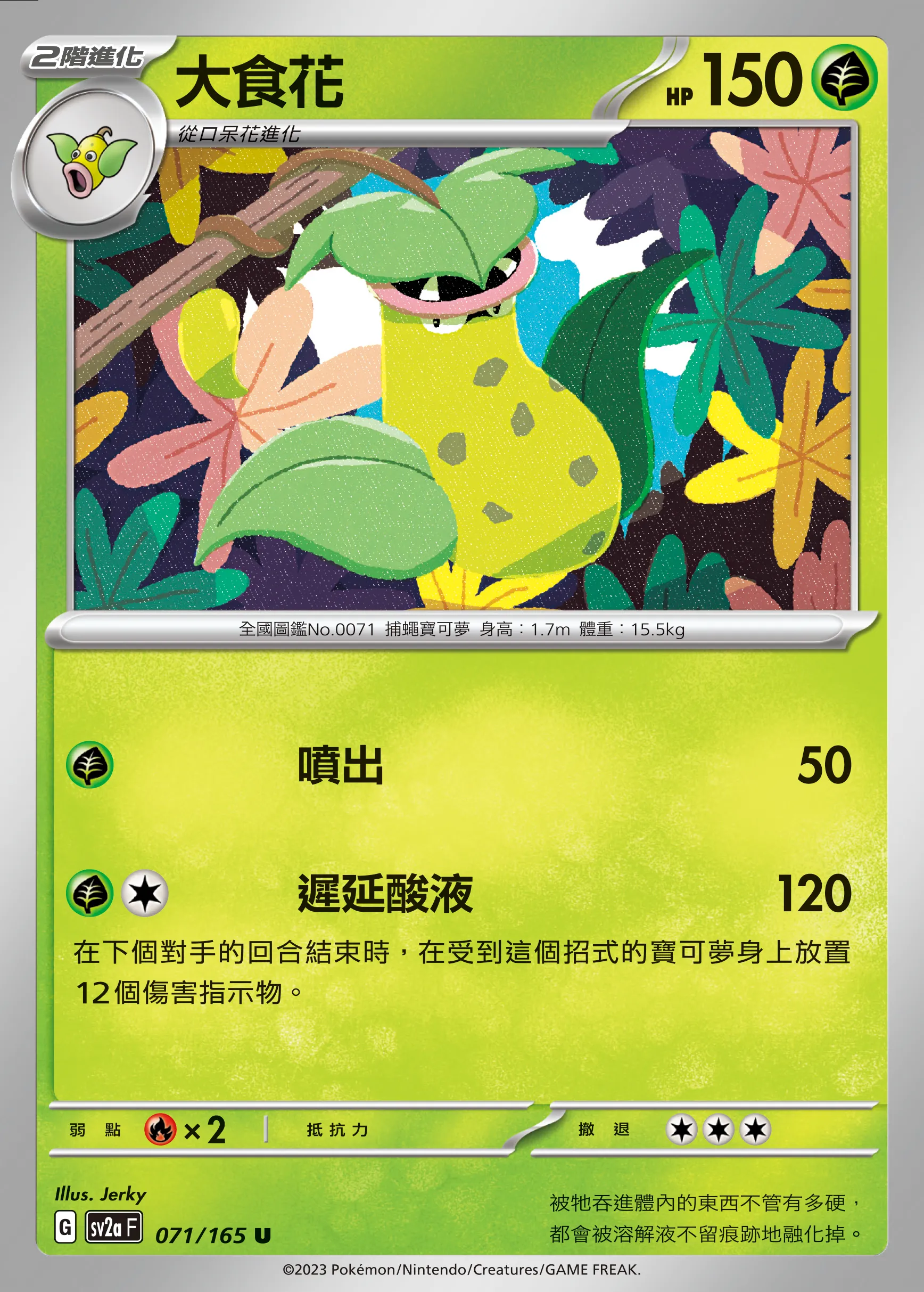 大食花