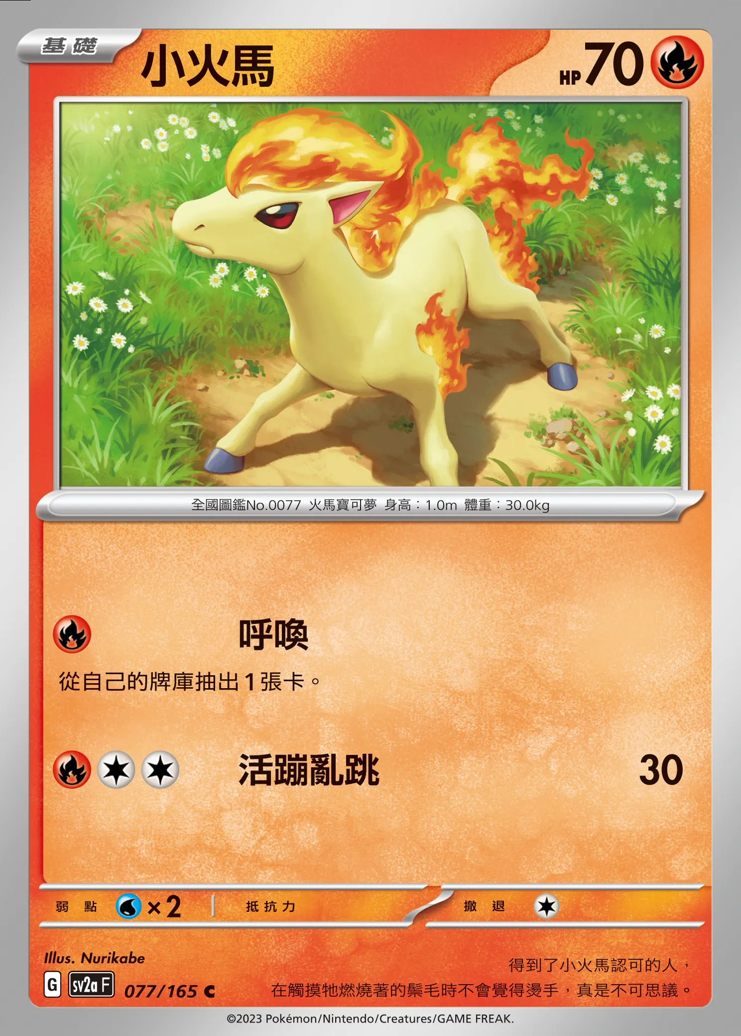 小火馬