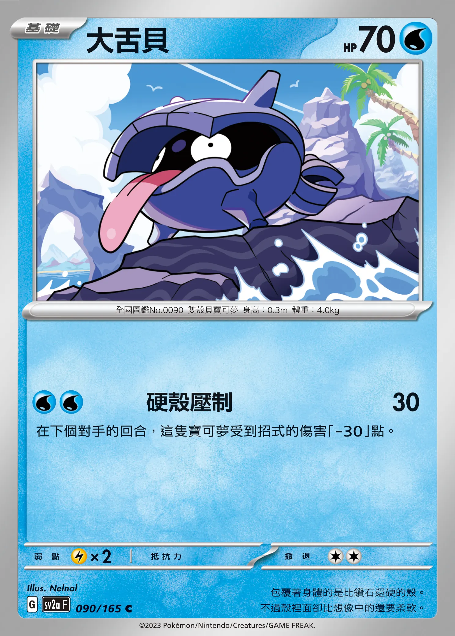 大舌貝