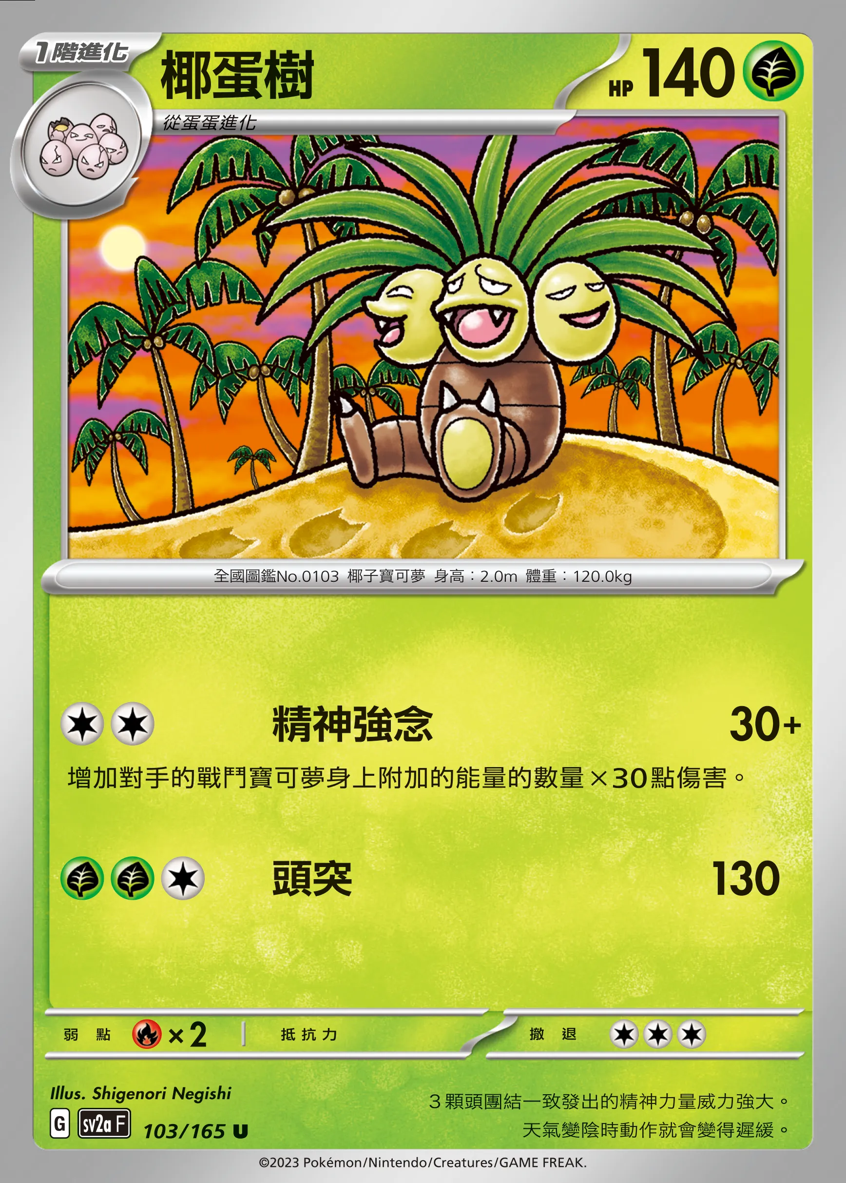 椰蛋樹