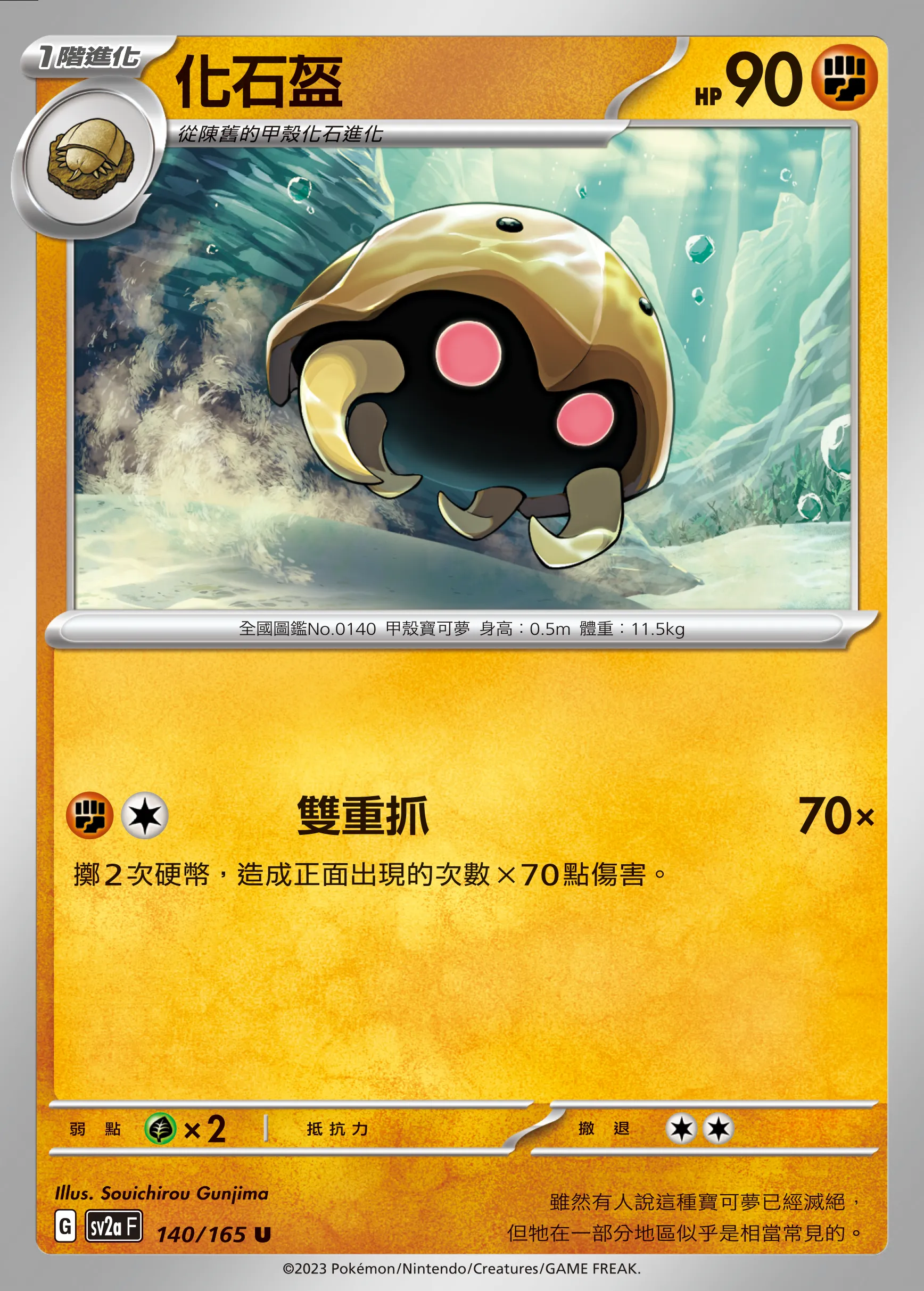化石盔