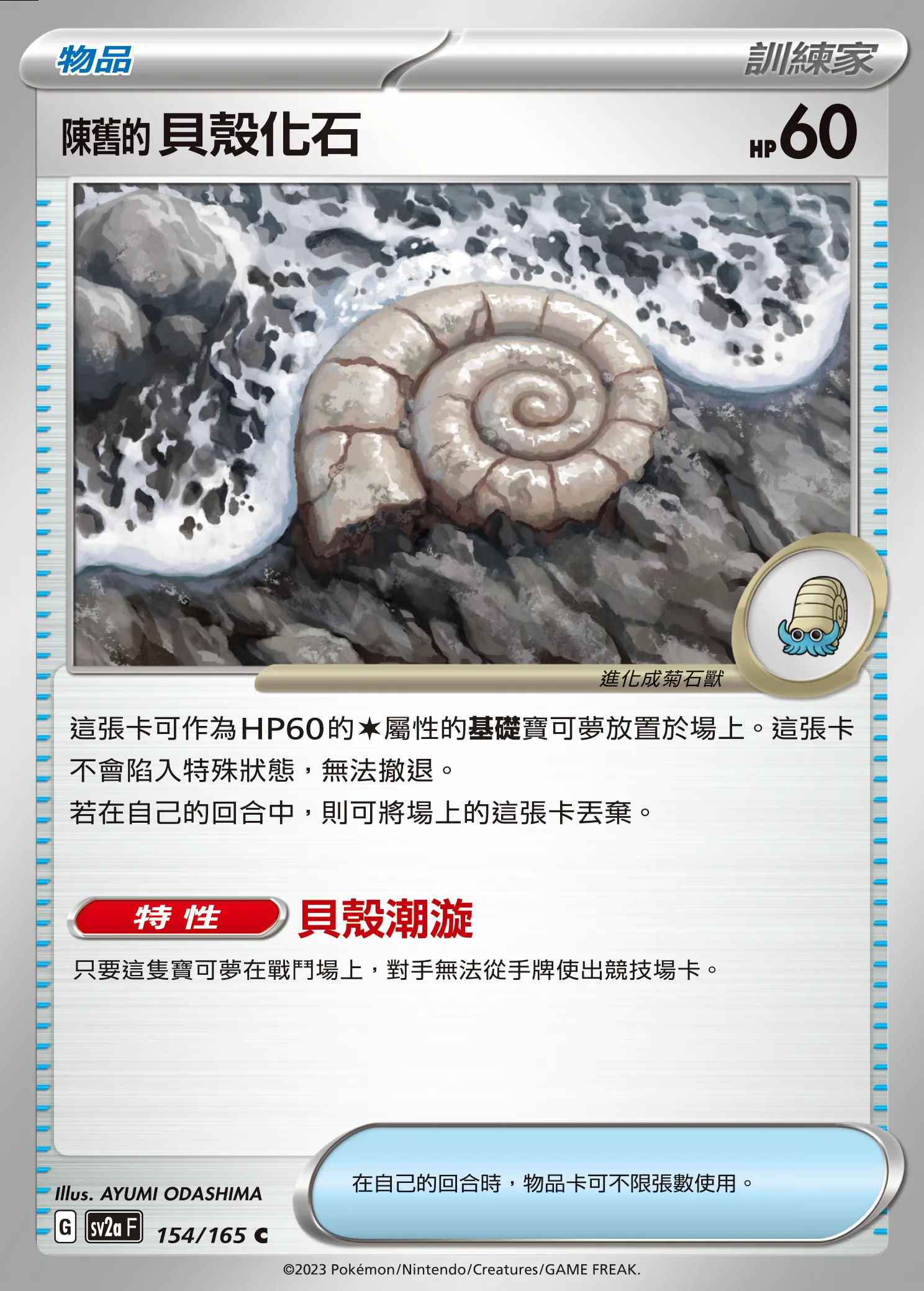 陳舊的貝殼化石