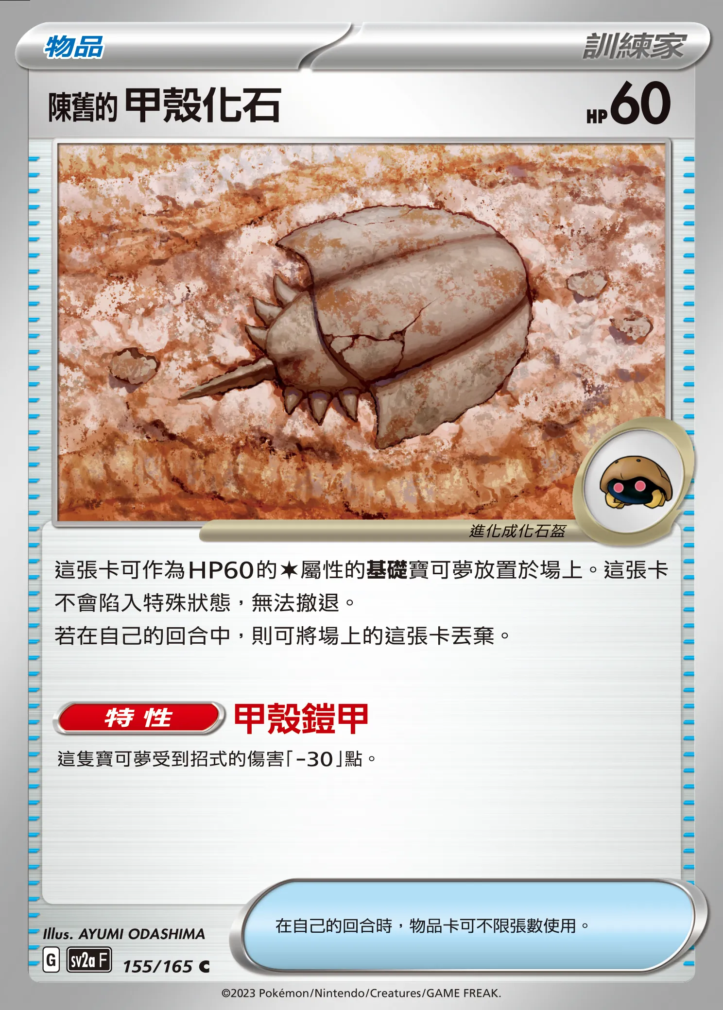 陳舊的甲殼化石