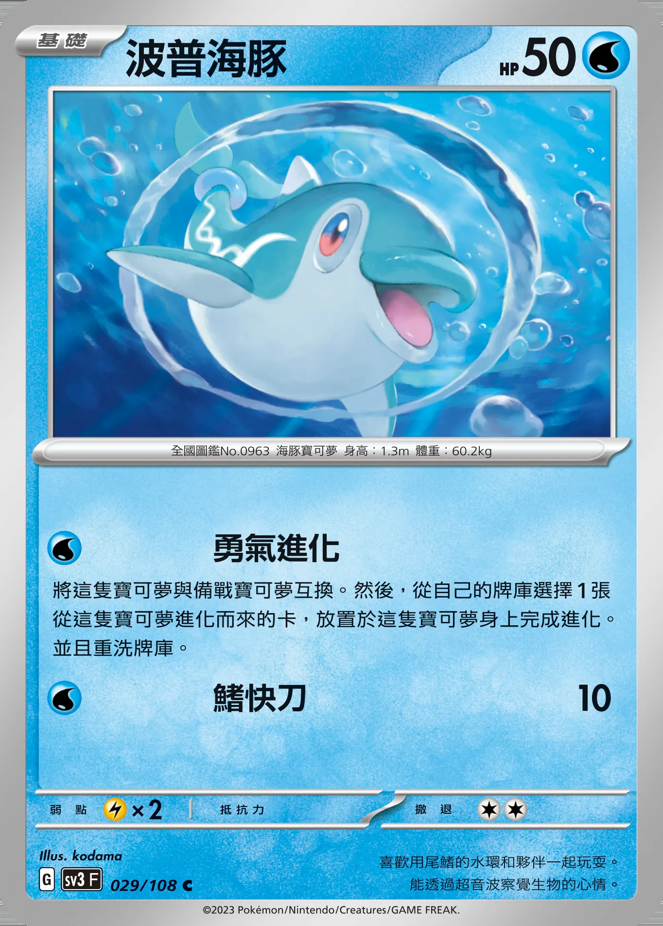 波普海豚