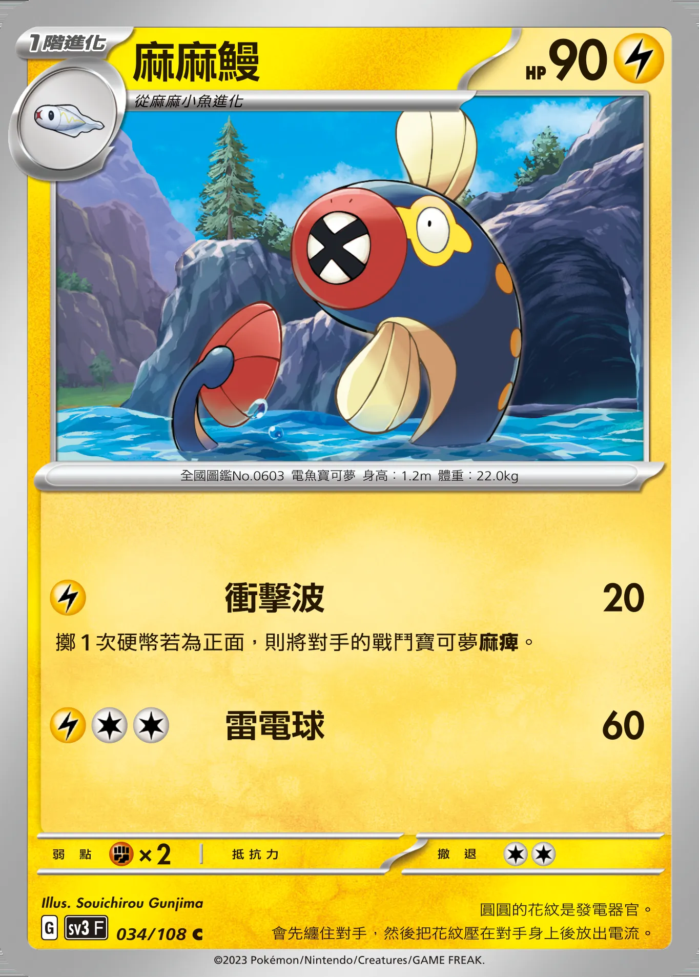 麻麻鰻