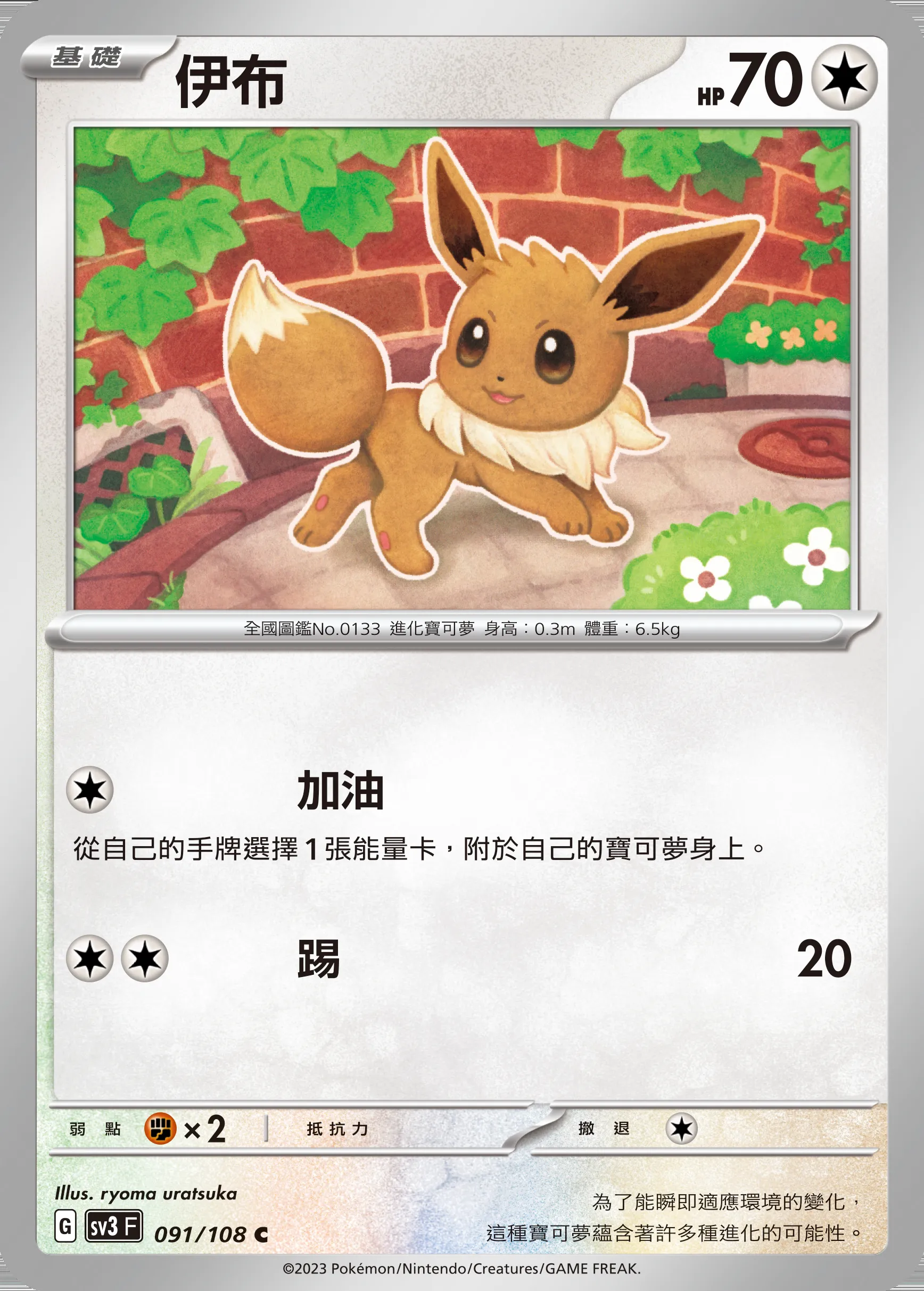 伊布