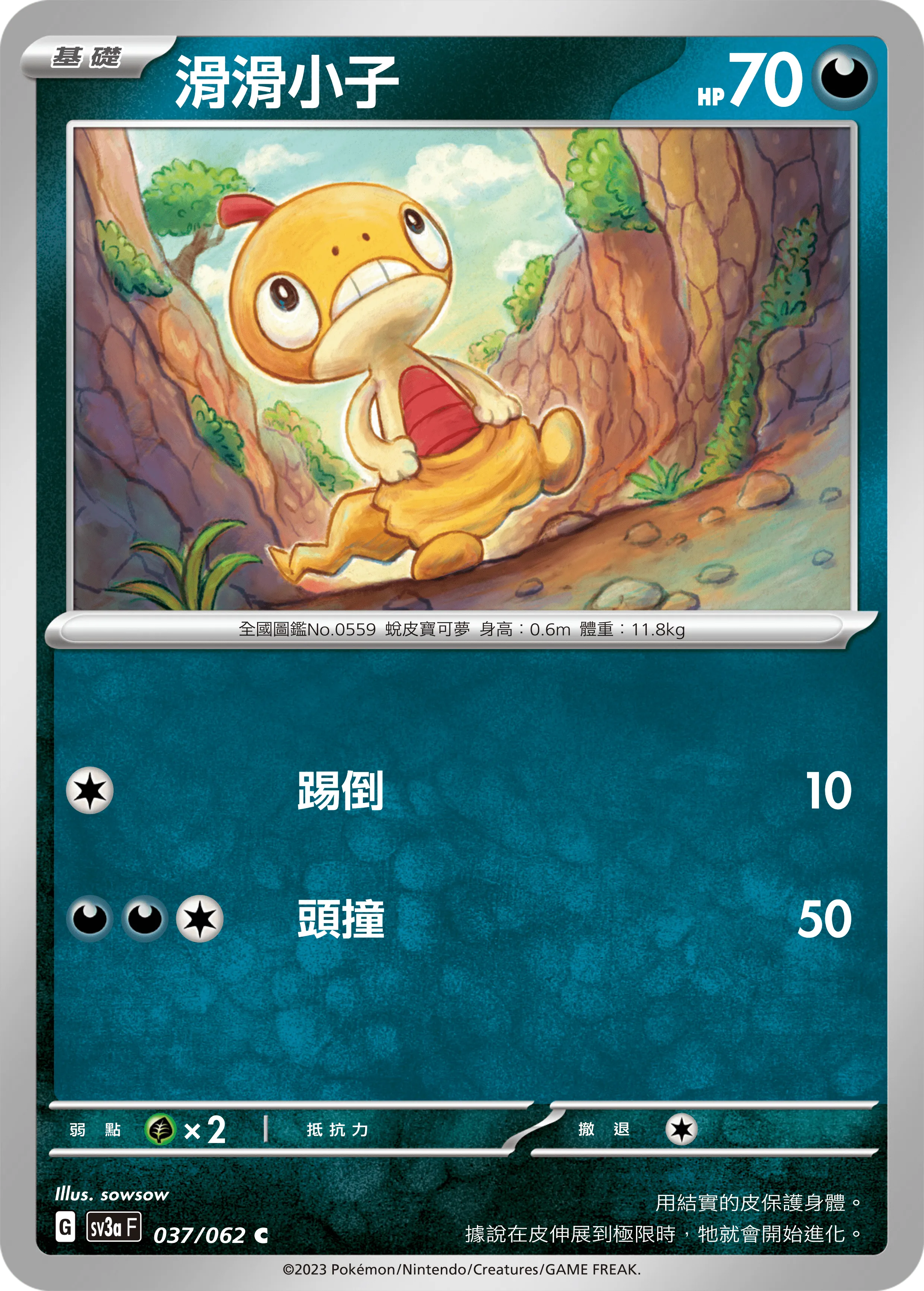 滑滑小子