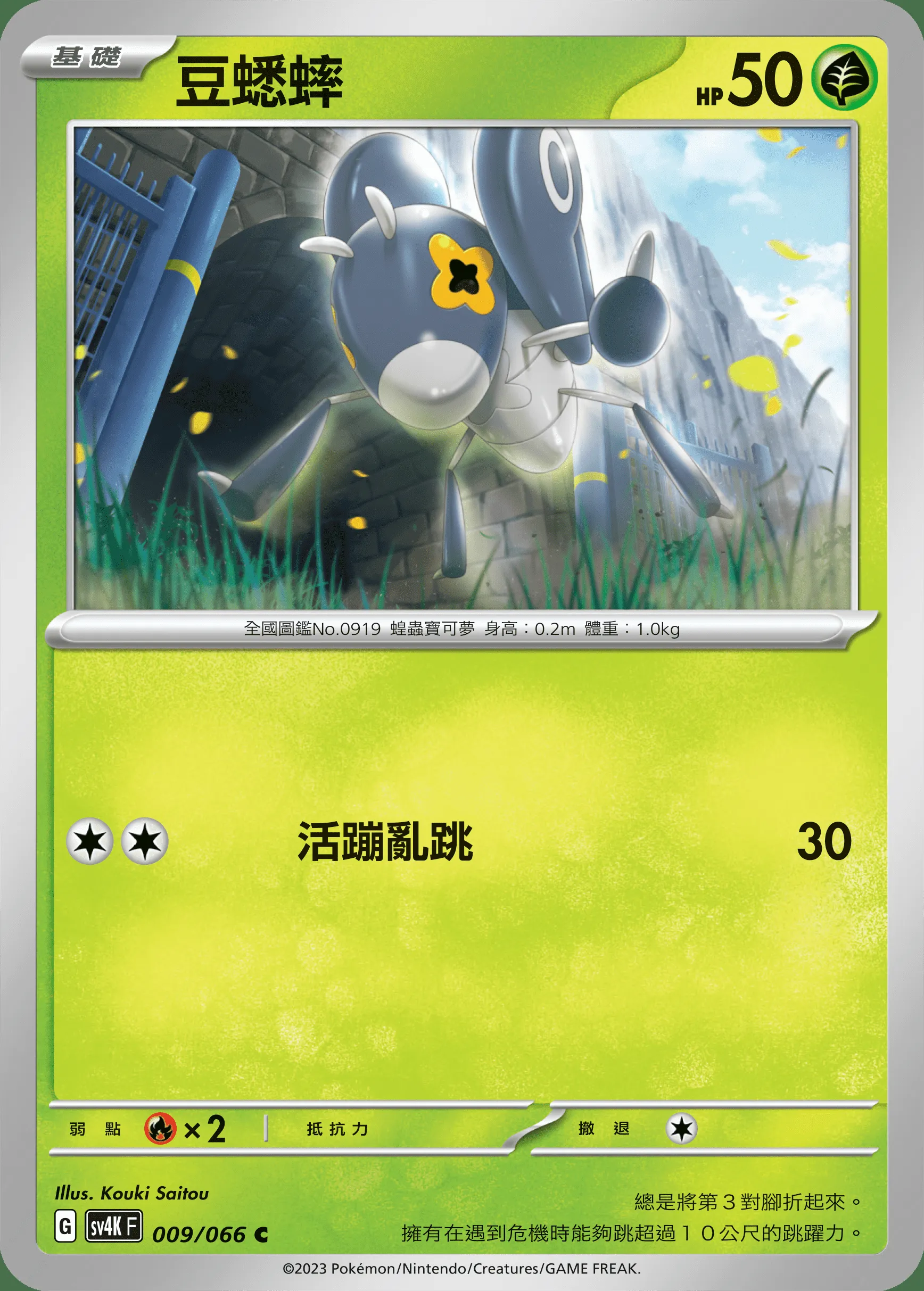 豆蟋蟀