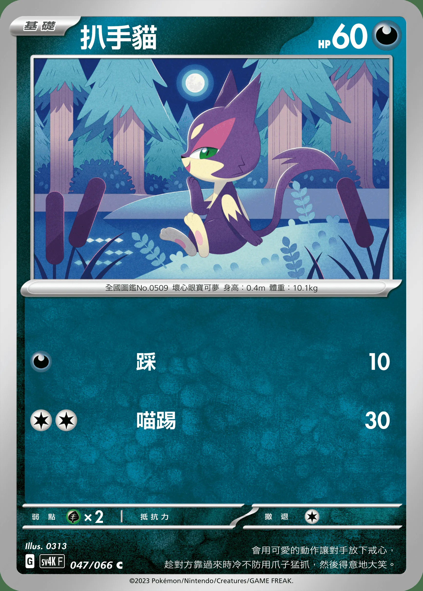 扒手貓