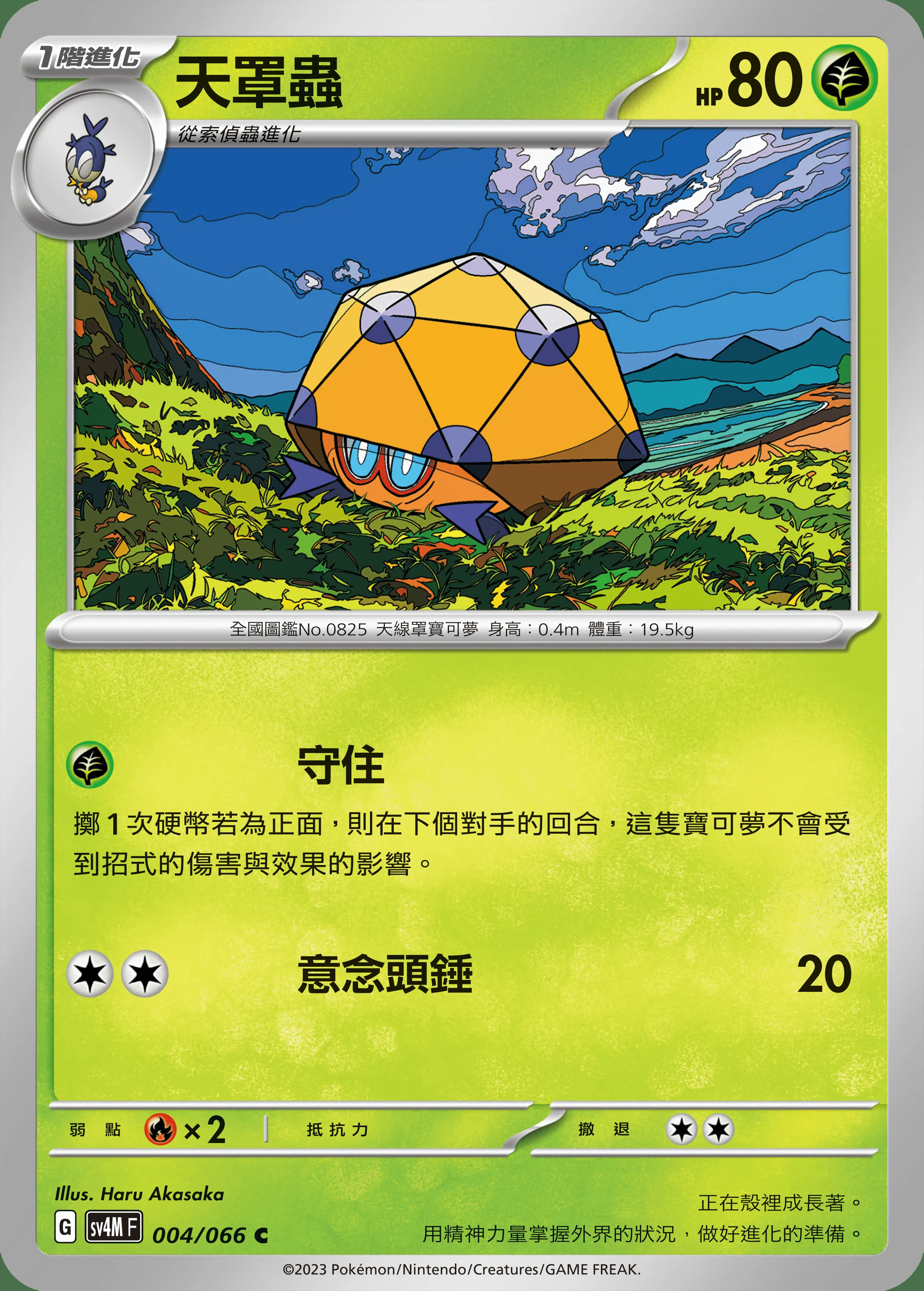 天罩蟲
