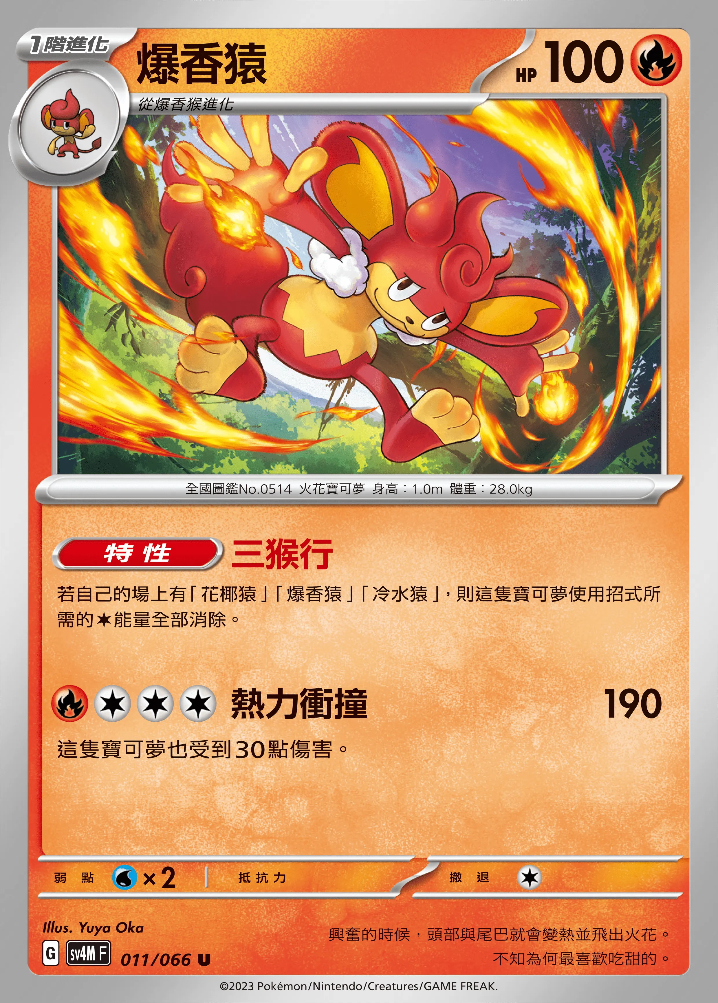 爆香猿