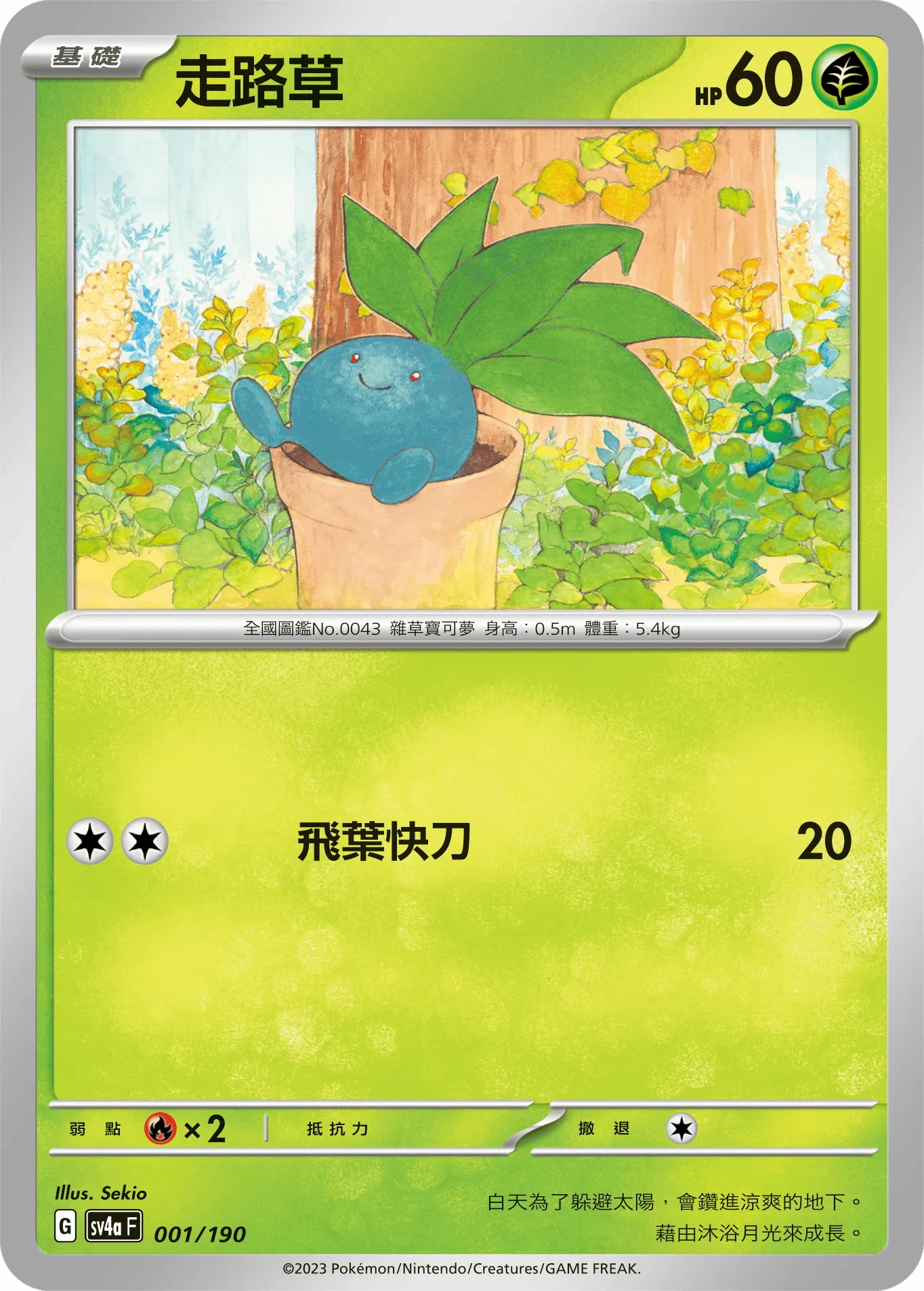 走路草