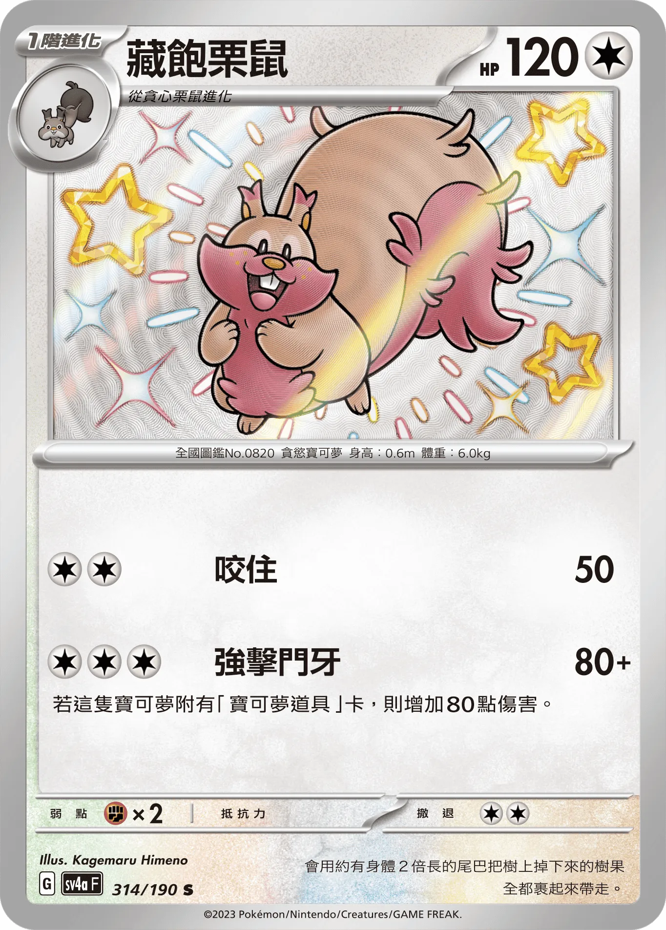 藏飽栗鼠