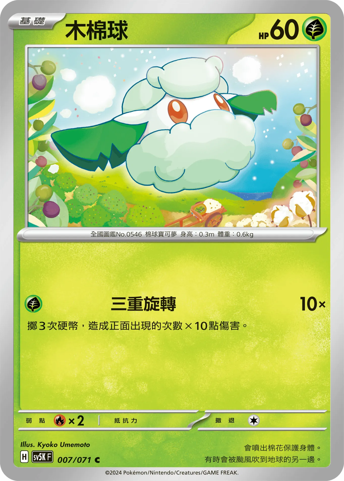 木棉球