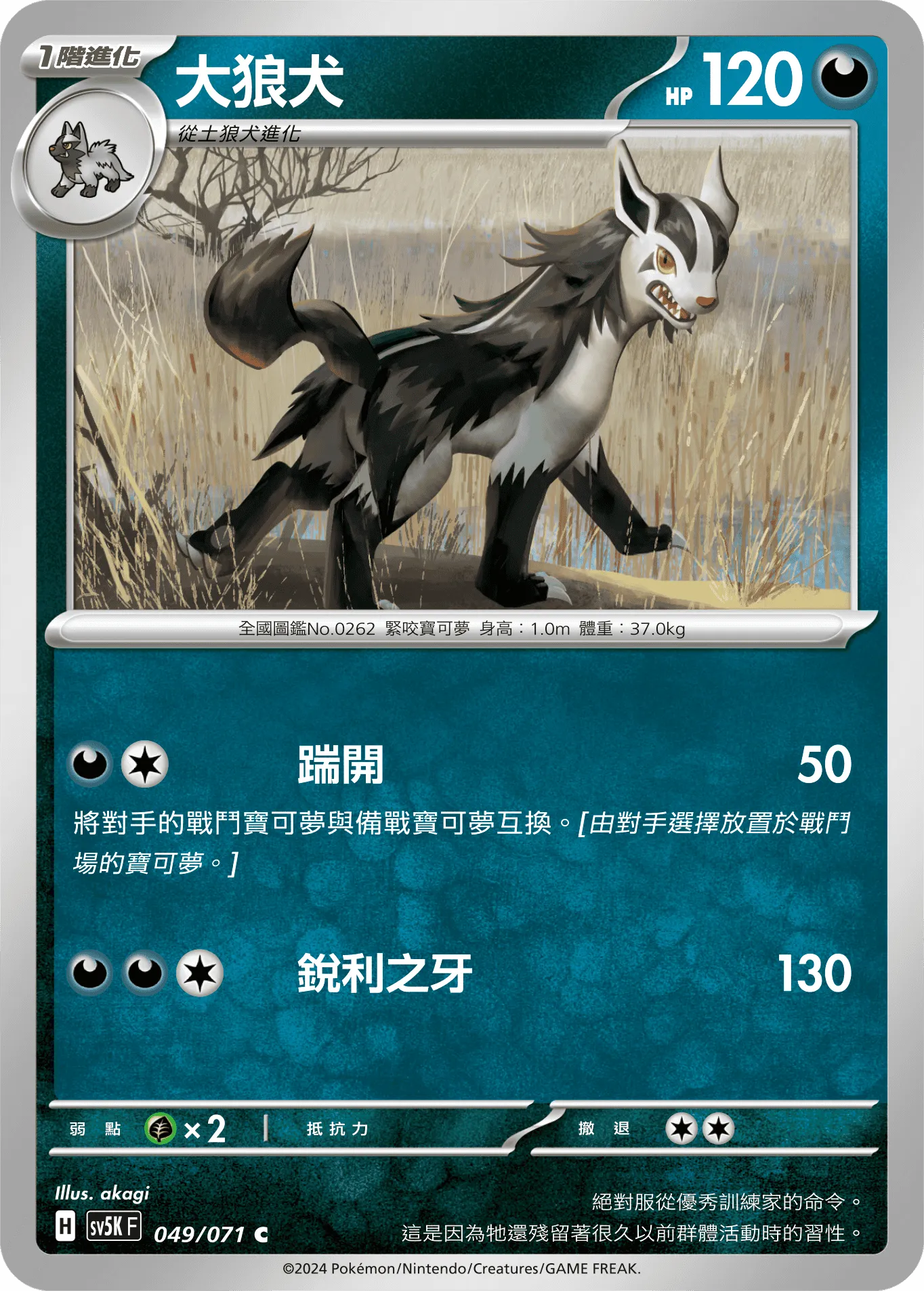 大狼犬