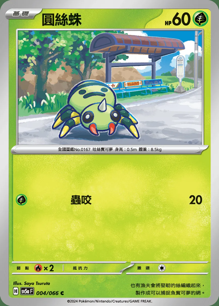 圓絲蛛