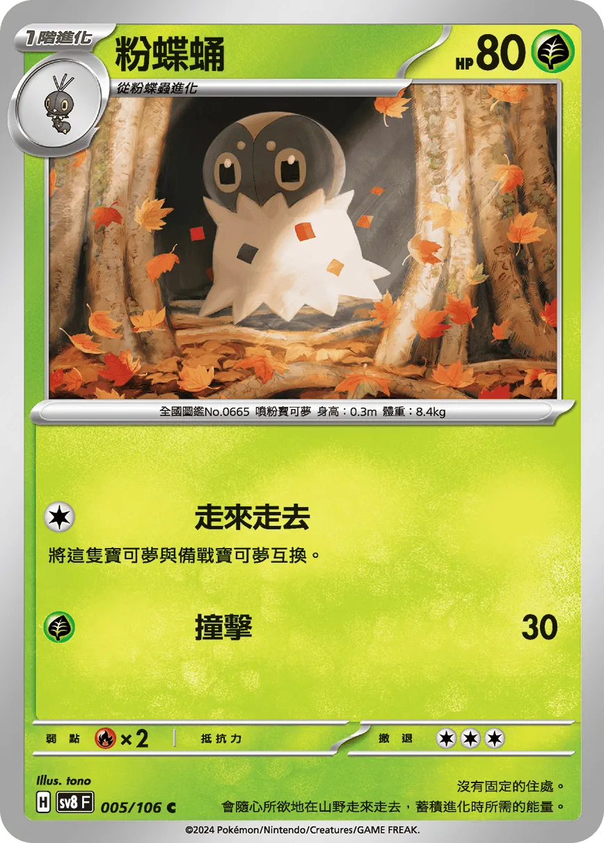 粉蝶蛹