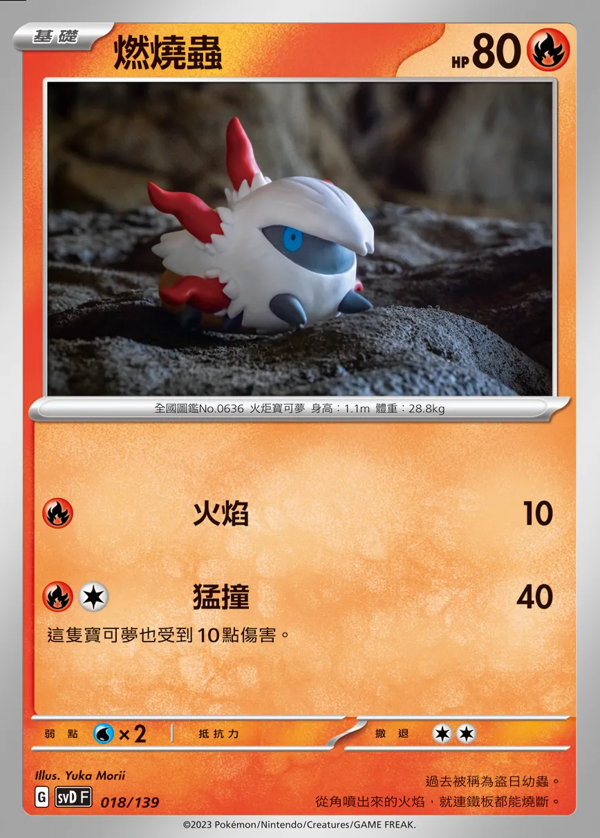 燃燒蟲