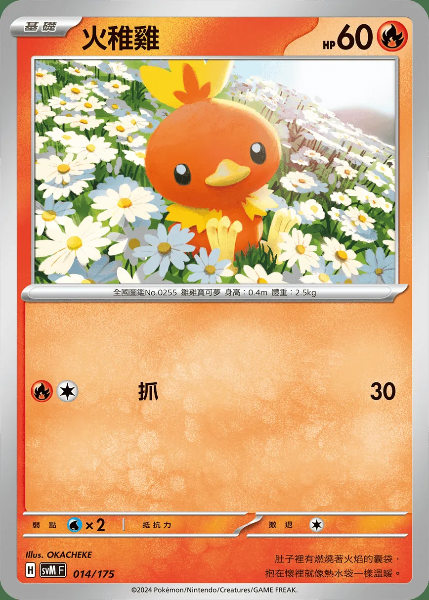 火稚雞
